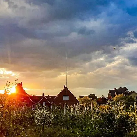 Blütenblick Bachenbrock