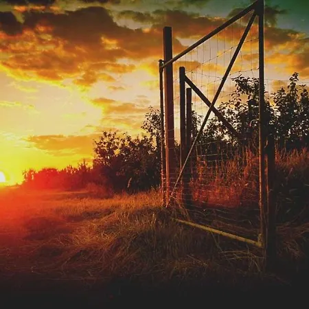 Blütenblick Apartment Bachenbrock
