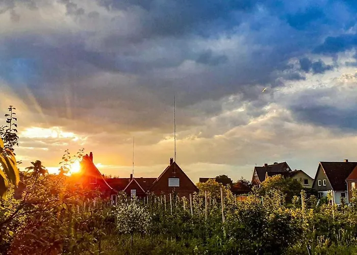 Bluetenblick Bachenbrock