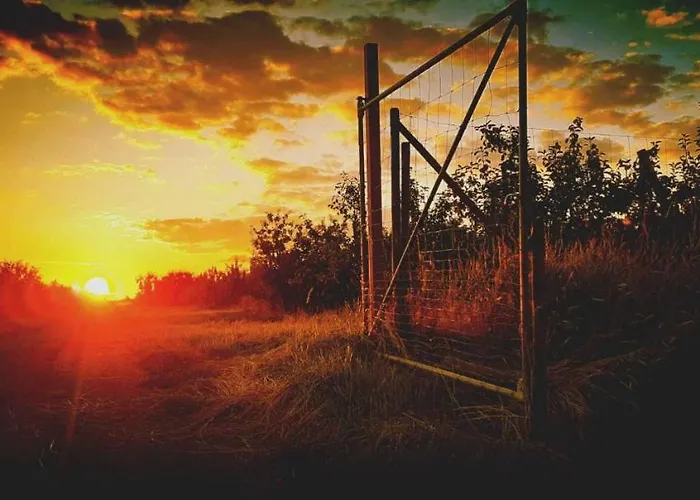 Bluetenblick Apartmán Bachenbrock