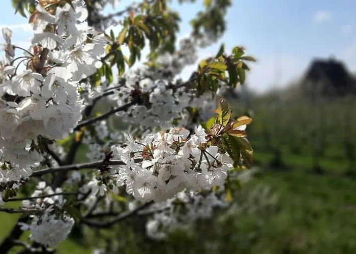 Bluetenblick Apartmán *