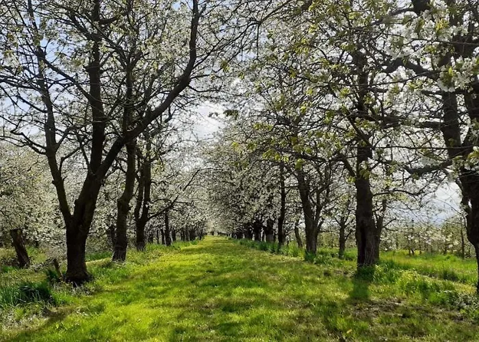 Bluetenblick Apartmán